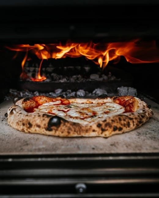 stoke pizza oven instructions