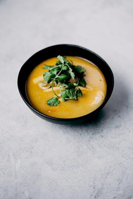 100 soup maker recipes pdf