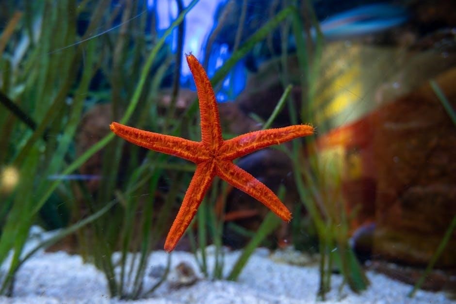 sea of stars platinum guide